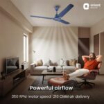 Buy Orient Electric Apex-FX 1200mm Ceiling Fan for Home| BEE Star Rated Energy Efficient Fan| Rust Resistant | Strong and Powerful Motor | 2 Years Warranty by Orient | Blue - Pack of 1 Online at Low Prices in India -  - Image 2